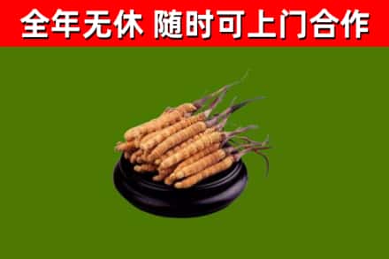 花溪区烟酒回收冬虫夏草.jpg