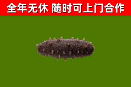 花溪区烟酒回收干海参.jpg